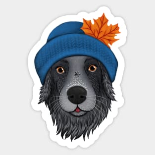 Autumn dog - cozy mood illustration - border collie dog with a hat and a leaf Sticker